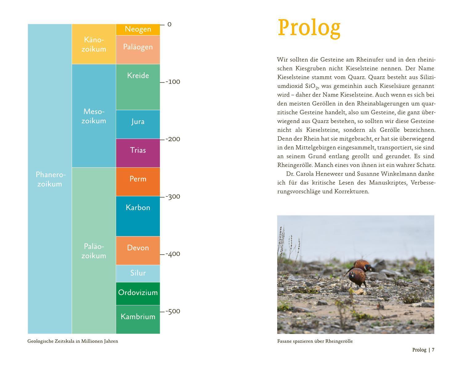 Bild: 9783985080328 | Schätze des Rheins | Sven von Loga | Taschenbuch | 160 S. | Deutsch