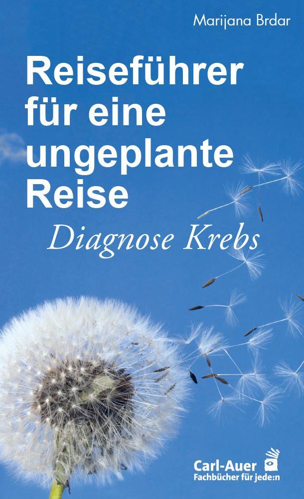 Cover: 9783849705572 | Reiseführer für eine ungeplante Reise | Marijana Brdar | Taschenbuch