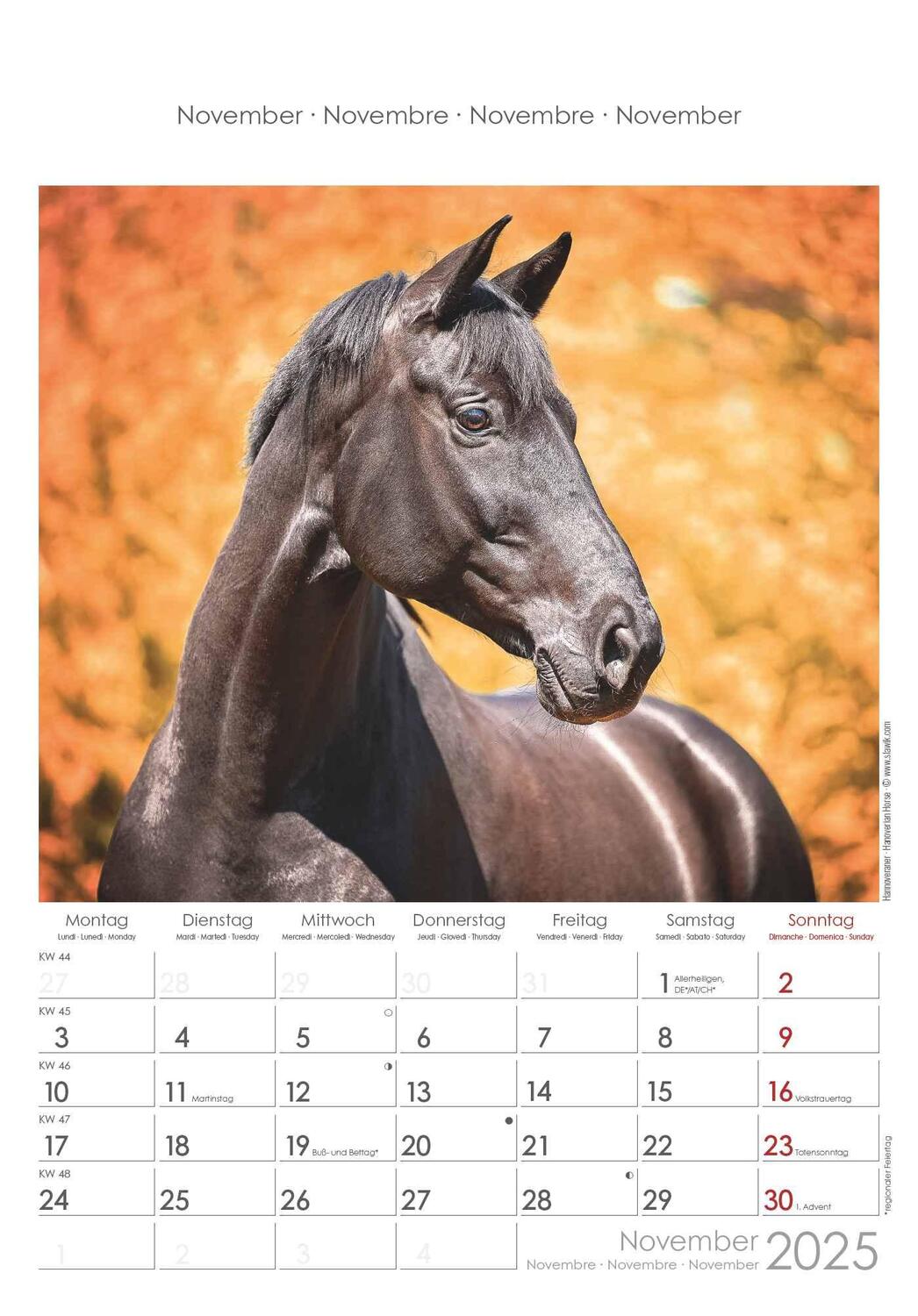 Bild: 4251732341022 | Pferde 2025 - Bildkalender 23,7x34 cm - Kalender mit Platz für...