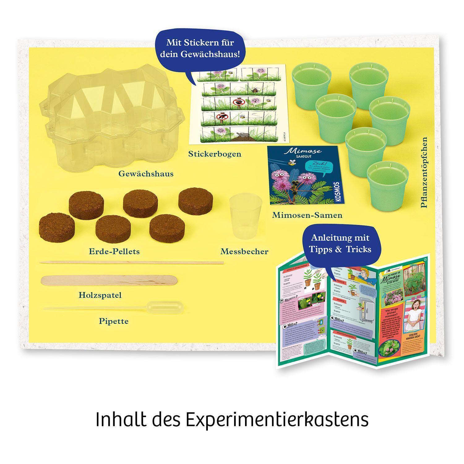 Bild: 4002051657802 | Mimosen-Garten | Experimentierkasten | Spiel | Brettspiel | 657802