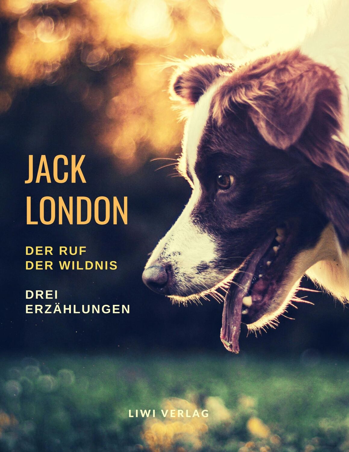 Cover: 9783965422766 | Der Ruf der Wildnis ¿ Drei Romane | Jack London | Taschenbuch | 392 S.