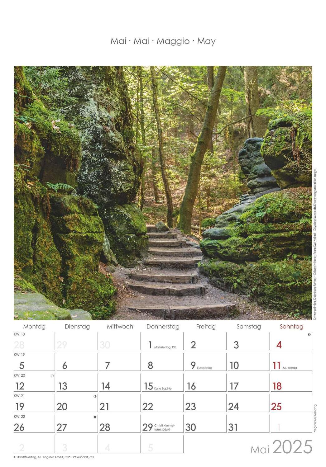 Bild: 4251732341206 | Sachsen 2025 - Bild-Kalender 23,7x34 cm - Regional-Kalender -...