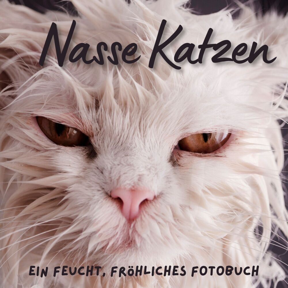 Cover: 9783750515710 | Nasse Katzen | Ein feucht, fröhliches Fotobuch | Bibi Hübsch | Buch