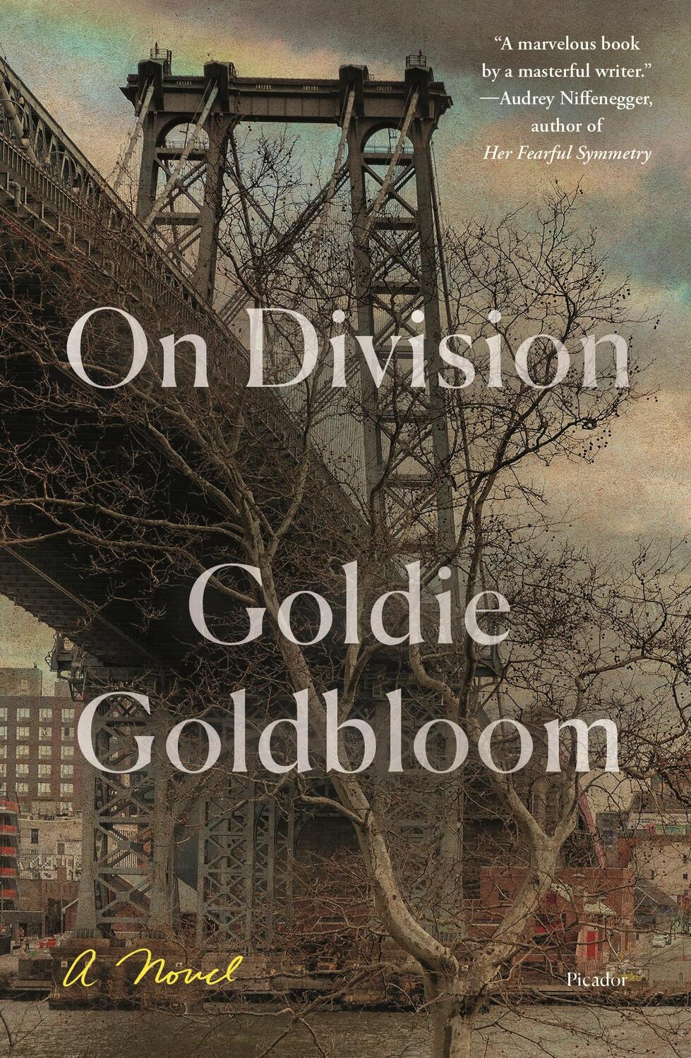 Cover: 9781250757968 | On Division | A Novel | Goldie Goldbloom | Taschenbuch | 288 S. | 2020