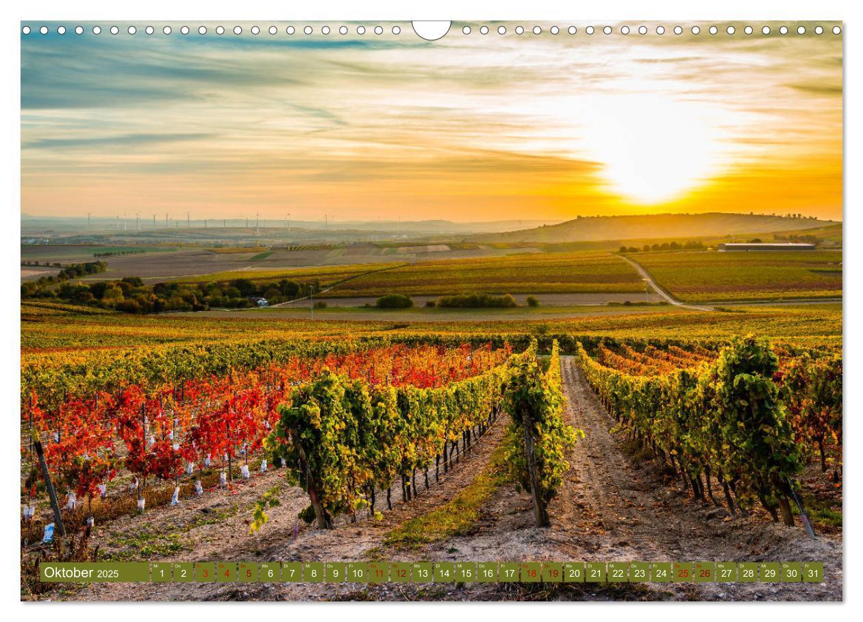 Bild: 9783435388905 | Rheinhessen-Impressionen (Wandkalender 2025 DIN A3 quer), CALVENDO...