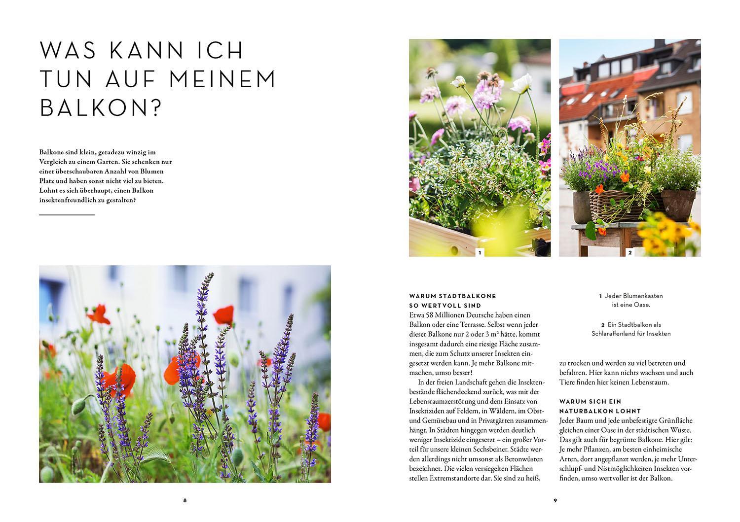 Bild: 9783440178232 | Dein Balkon summt! | Mareike Fedders | Taschenbuch | 128 S. | Deutsch