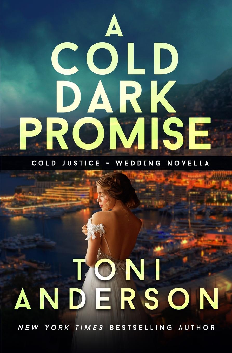 Cover: 9781988812007 | A Cold Dark Promise | A Romantic Thriller | Toni Anderson | Buch