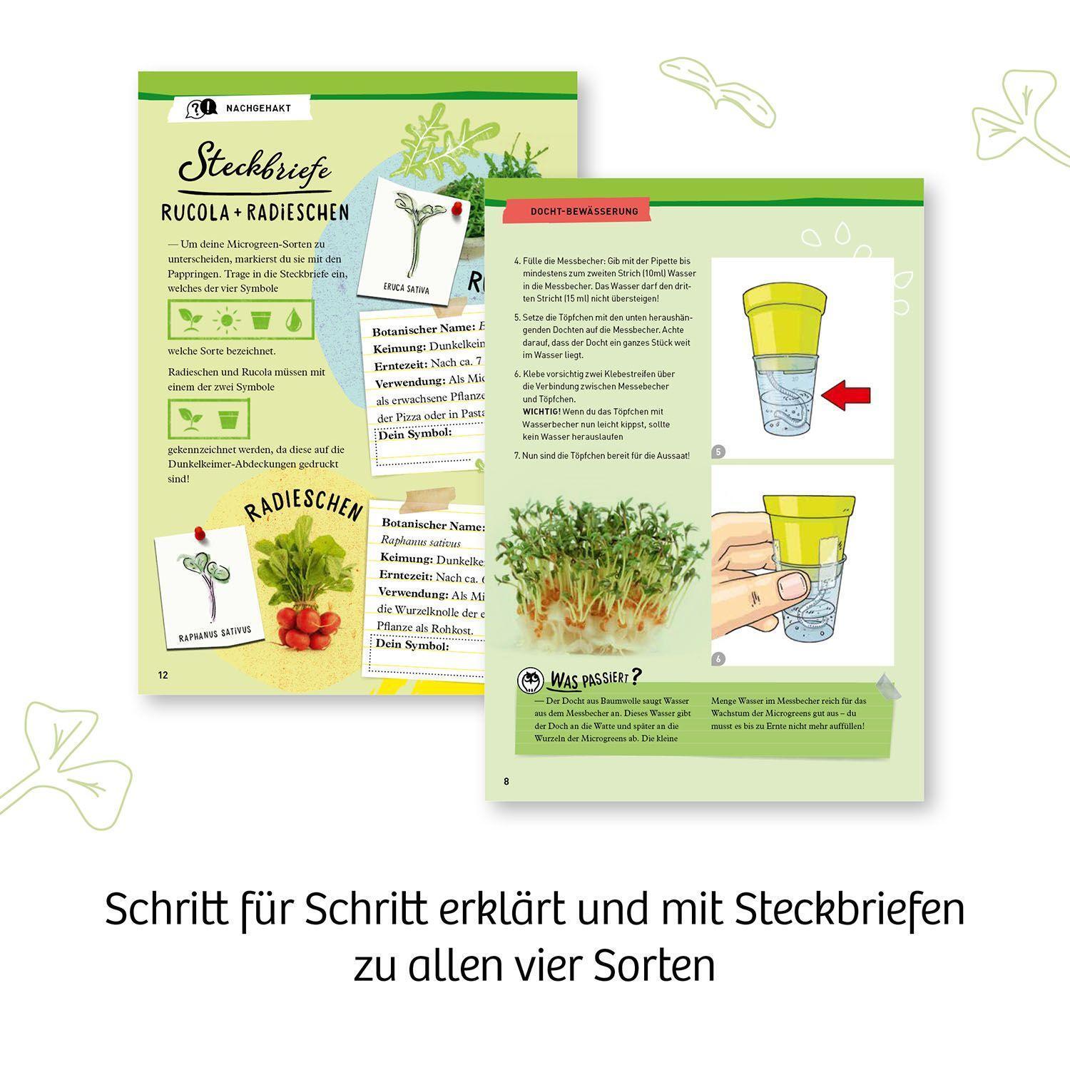 Bild: 4002051636135 | Microgreen-Garten | Experimentierkasten | Spiel | Deutsch | 2022