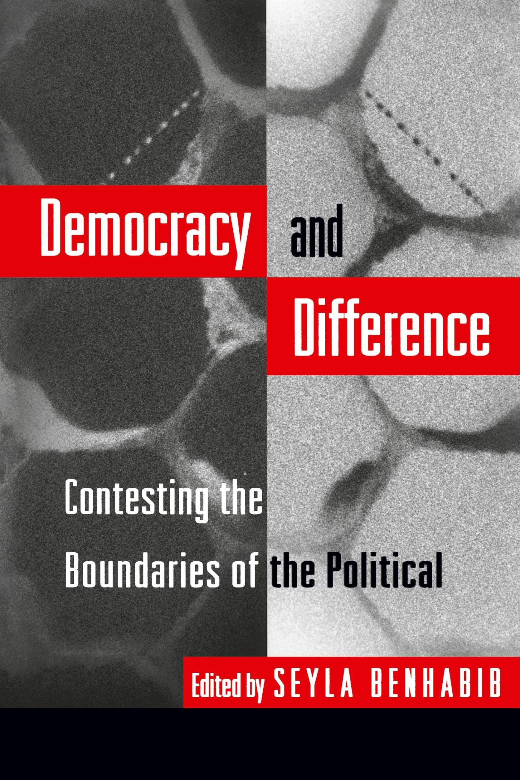 Cover: 9780691044781 | Democracy and Difference | Contesting the Boundaries of the Political