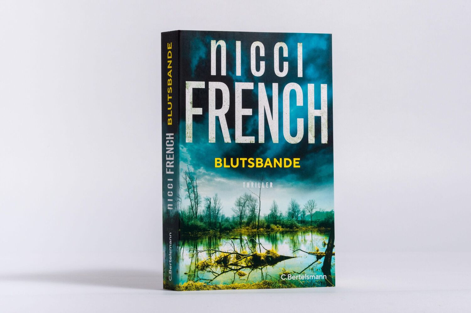 Bild: 9783570104989 | Blutsbande | Nicci French | Taschenbuch | 480 S. | Deutsch | 2024