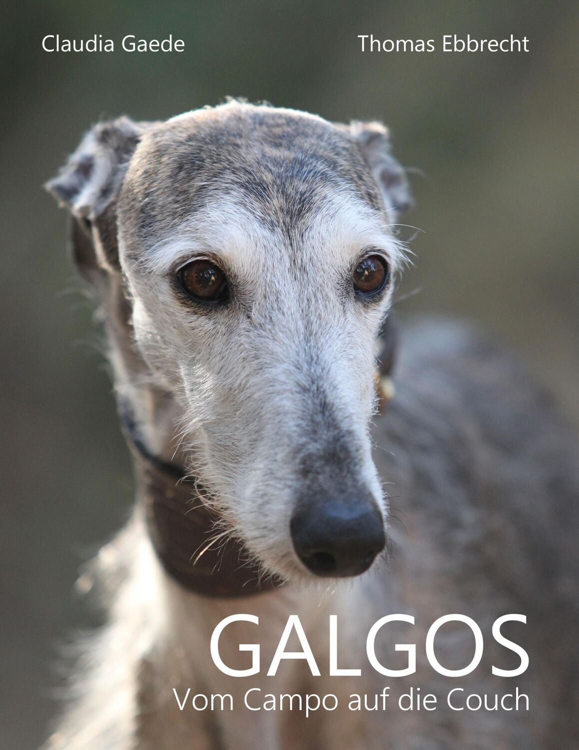 Cover: 9783746081007 | Galgos | Vom Campo auf die Couch | Claudia Gaede (u. a.) | Taschenbuch