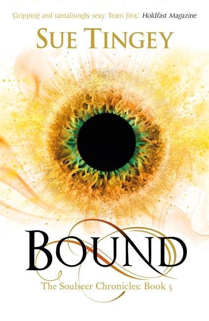 Cover: 9781784290764 | Bound | The Soulseer Chronicles Book 3 | Sue Tingey | Taschenbuch