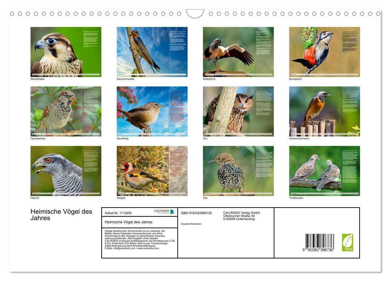 Bild: 9783383896736 | Heimische Vögel des Jahres (Wandkalender 2025 DIN A3 quer),...