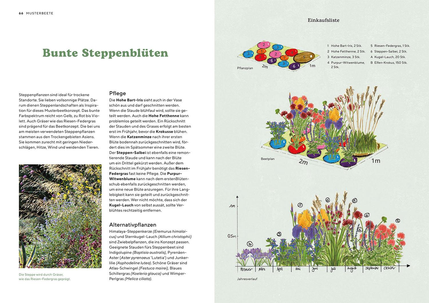 Bild: 9783440181218 | Hitzekünstler | Beete, die du wenig gießen musst | Iris Winkenbach