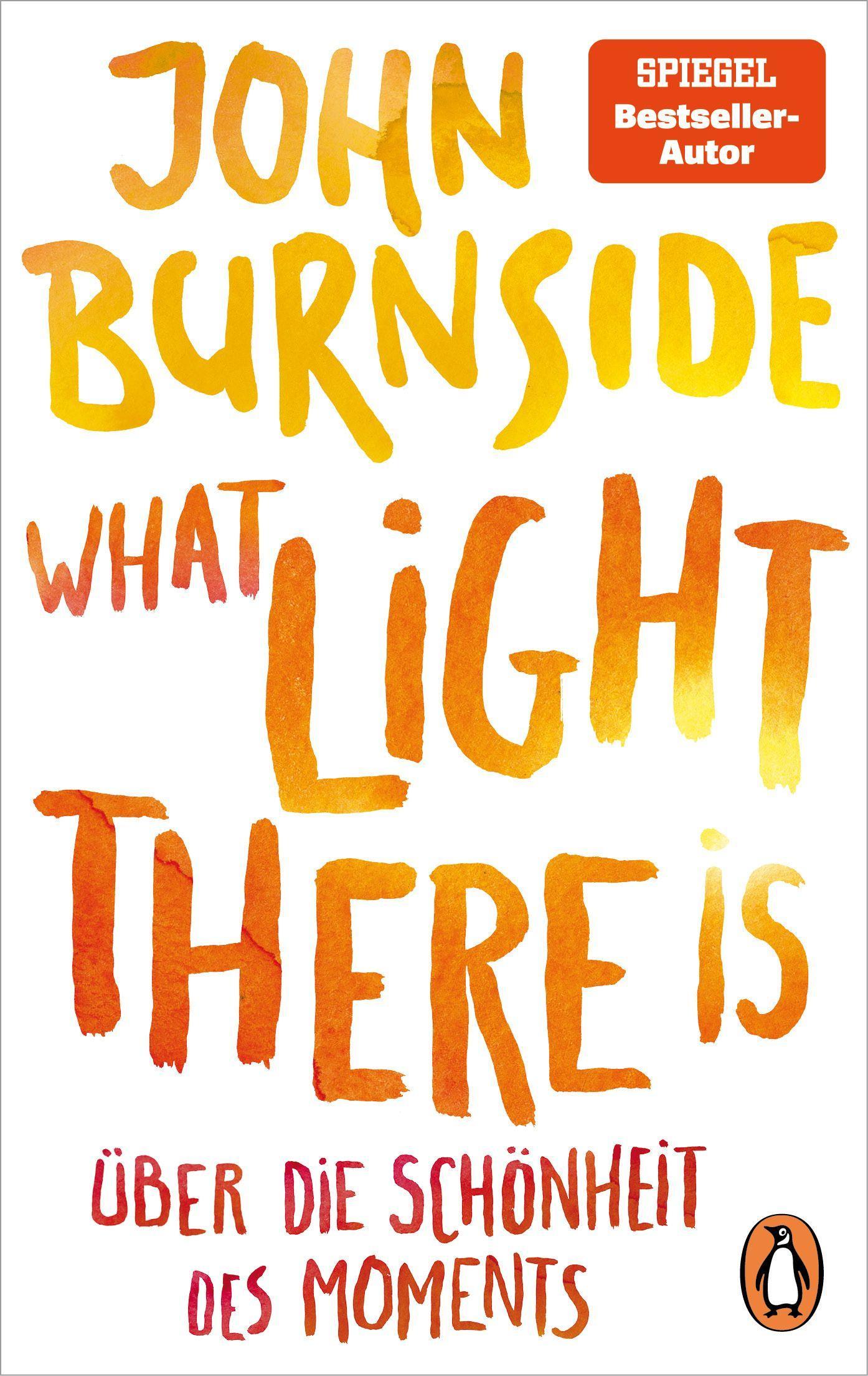 Cover: 9783328108337 | What light there is - Über die Schönheit des Moments | John Burnside