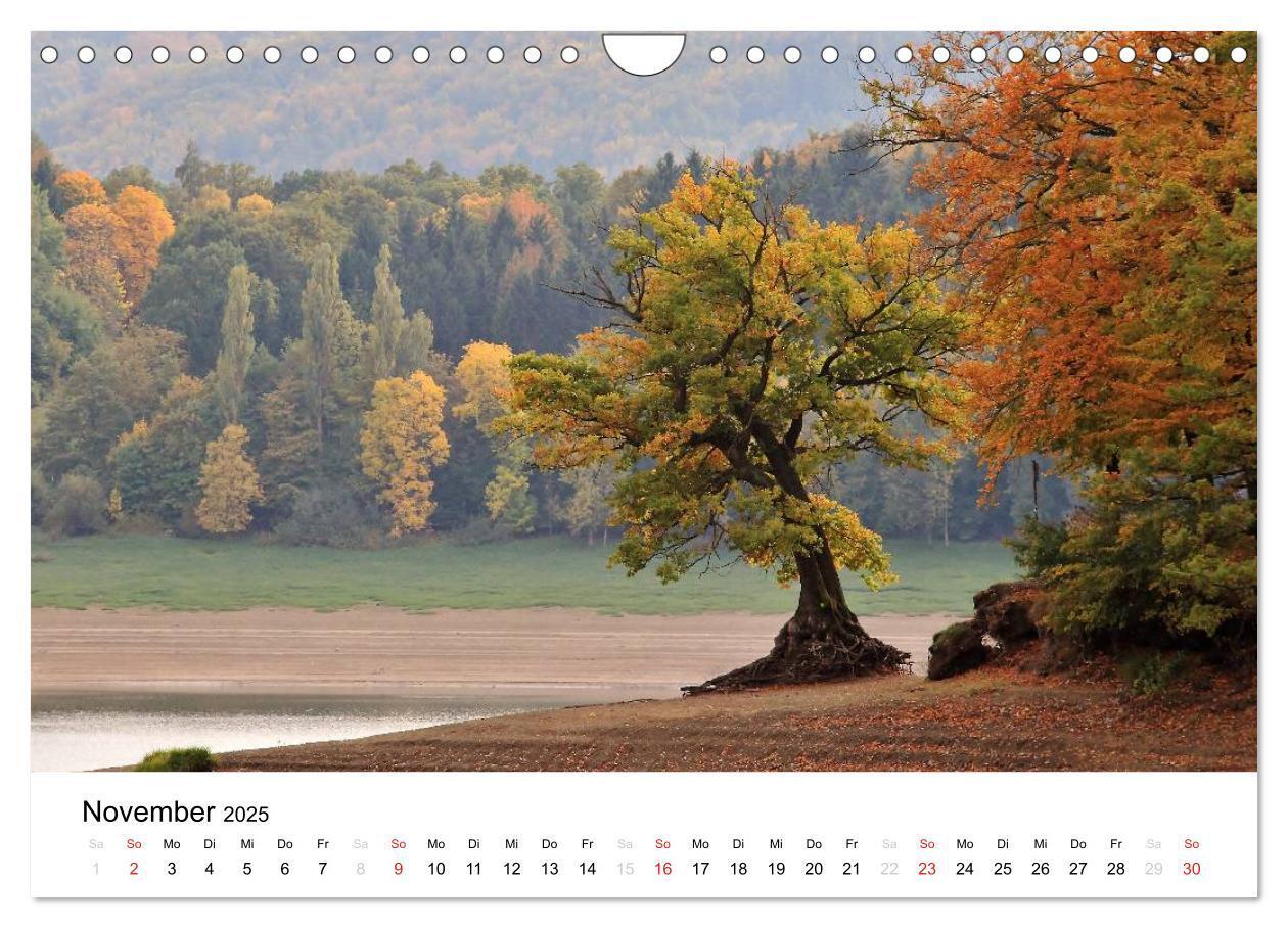 Bild: 9783435767670 | Mein Edersee 2025 (Wandkalender 2025 DIN A4 quer), CALVENDO...