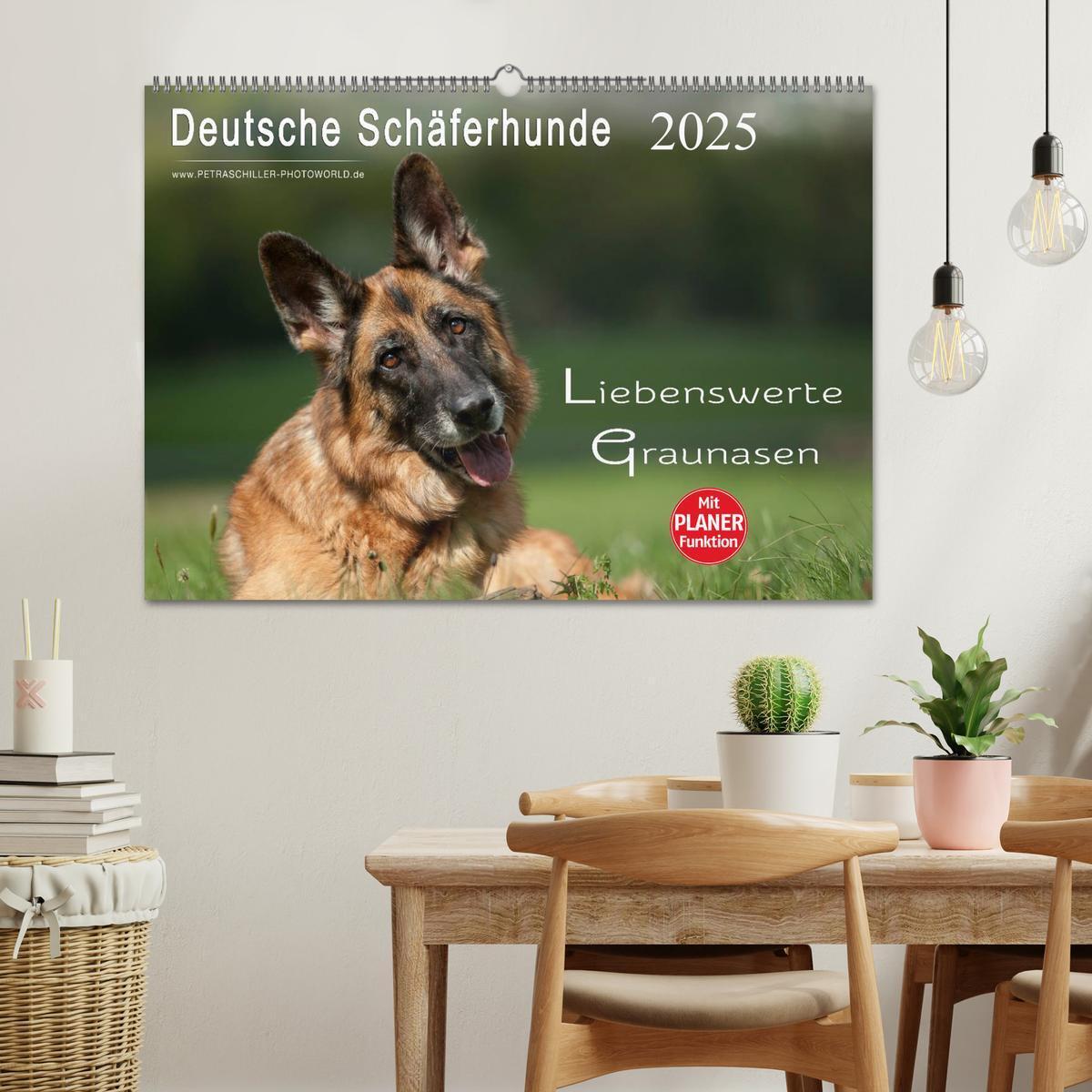 Bild: 9783435473465 | Deutsche Schäferhunde - Liebenswerte Graunasen (Wandkalender 2025...