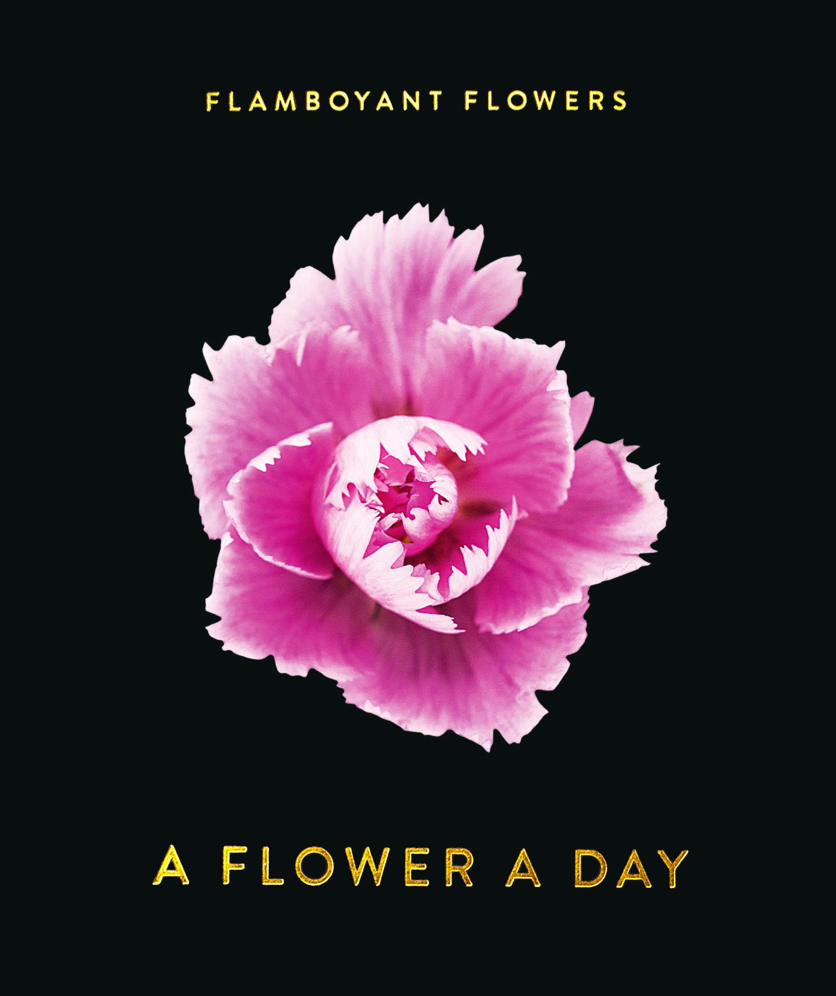 Cover: 9783946688839 | Flamboyant Flowers | A Flower A Day | Nicolas Meriel | Kalender