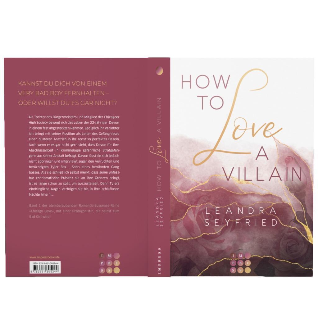 Bild: 9783551305244 | How to Love A Villain (Chicago Love 1) | Leandra Seyfried | Buch