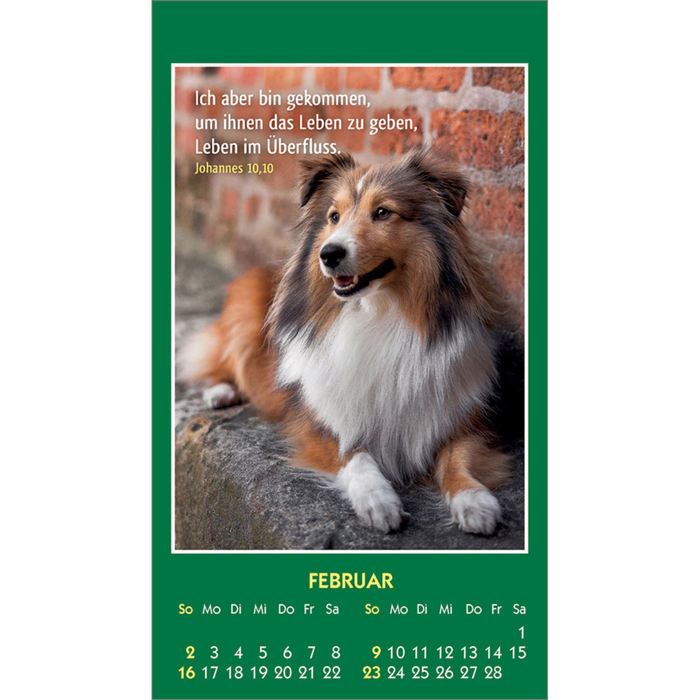 Bild: 9783754893555 | Hallo Du 2025 | Mini-Aufkleber-Kalender | Kalender | 14 S. | Deutsch