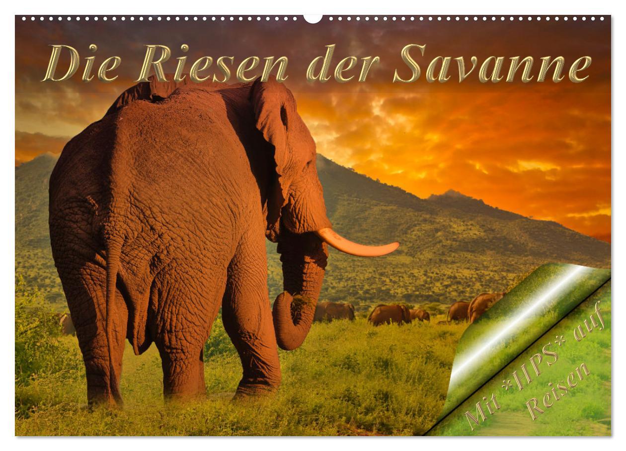 Cover: 9783435091195 | Die Riesen der Savanne (Wandkalender 2025 DIN A2 quer), CALVENDO...