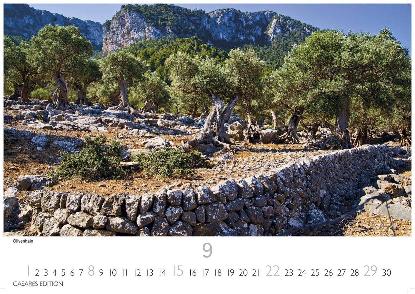 Bild: 9789918611904 | Mallorca 2024 S 24x35cm | Kalender | 14 S. | Deutsch | 2024