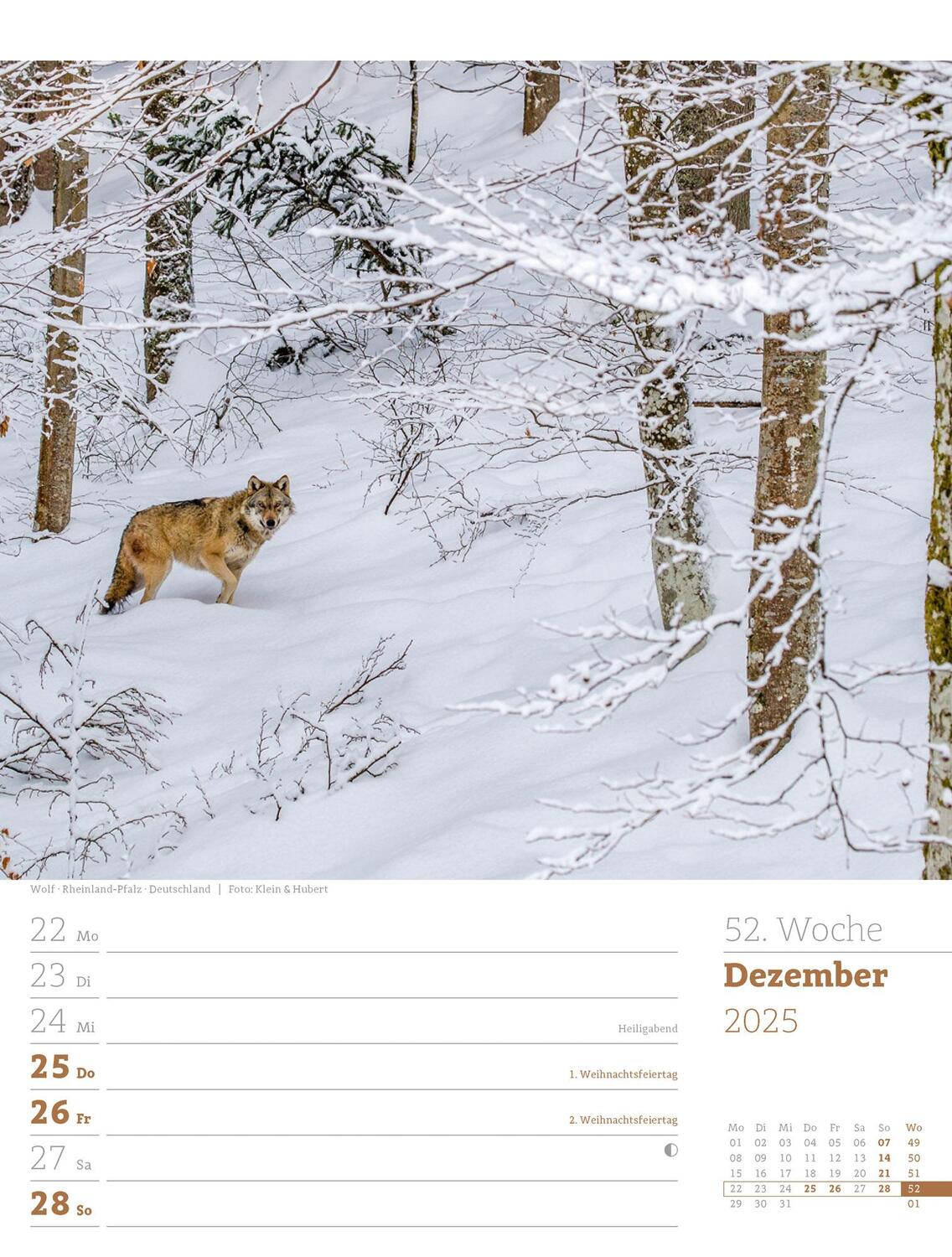 Bild: 9783838425979 | Unser Wald - Wochenplaner Kalender 2025 | Ackermann Kunstverlag | 2025