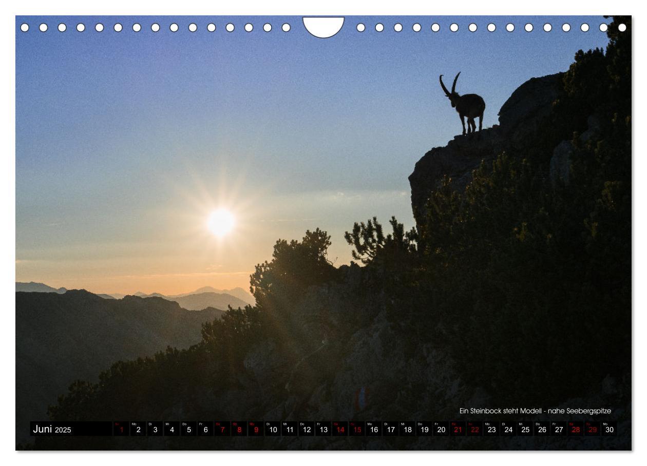 Bild: 9783383936494 | Magisches Licht der Berge (Wandkalender 2025 DIN A4 quer), CALVENDO...