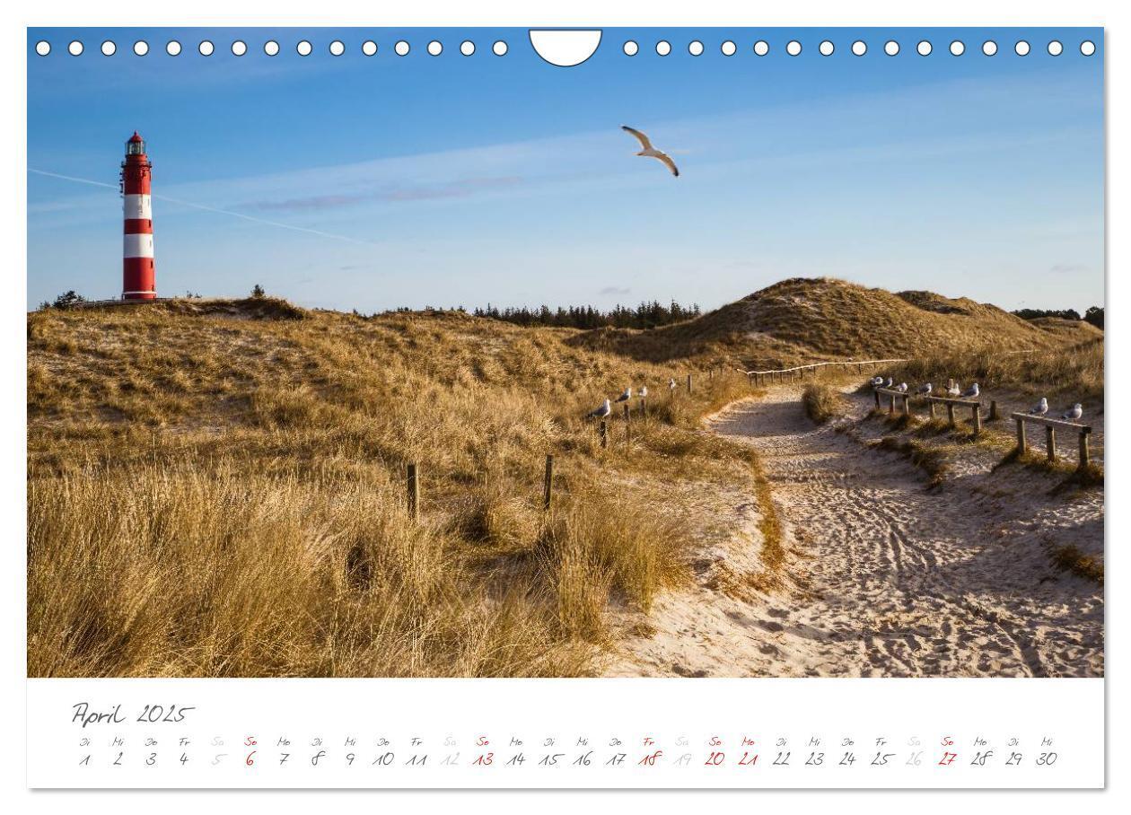 Bild: 9783435601738 | Amrum - Eine farbenfrohe Insellandschaft (Wandkalender 2025 DIN A4...