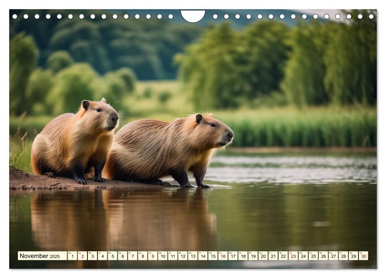 Bild: 9783457143759 | Capybaras - Wasserschweine die Herren der Gräser (Wandkalender 2025...