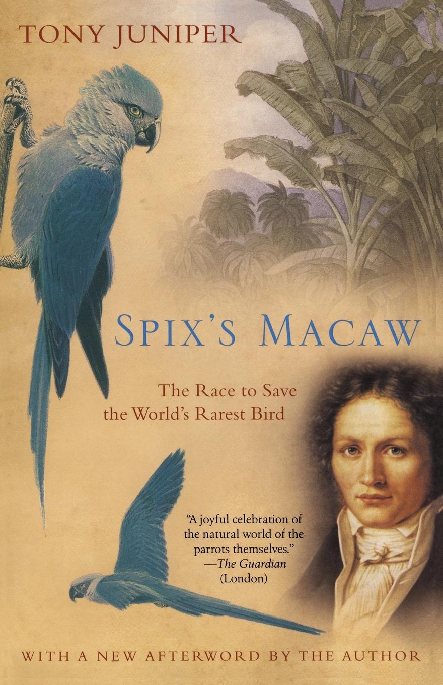 Cover: 9780743475518 | Spix's Macaw | The Race to Save the World's Rarest Bird | Tony Juniper