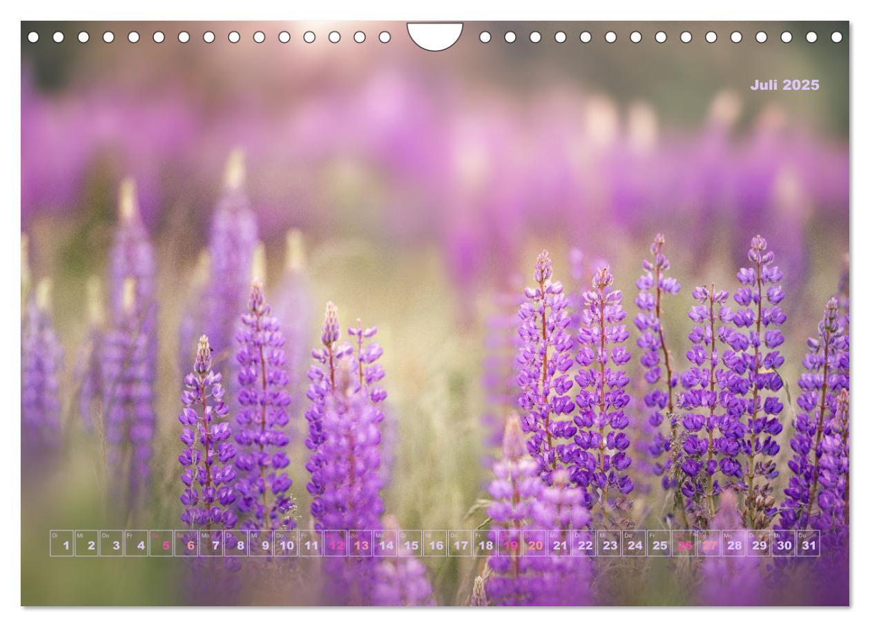 Bild: 9783435051663 | Magische Natur in NRW 2025 (Wandkalender 2025 DIN A4 quer),...