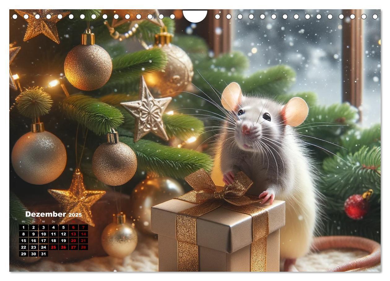 Bild: 9783383837357 | Lustige Ratten (Wandkalender 2025 DIN A4 quer), CALVENDO...