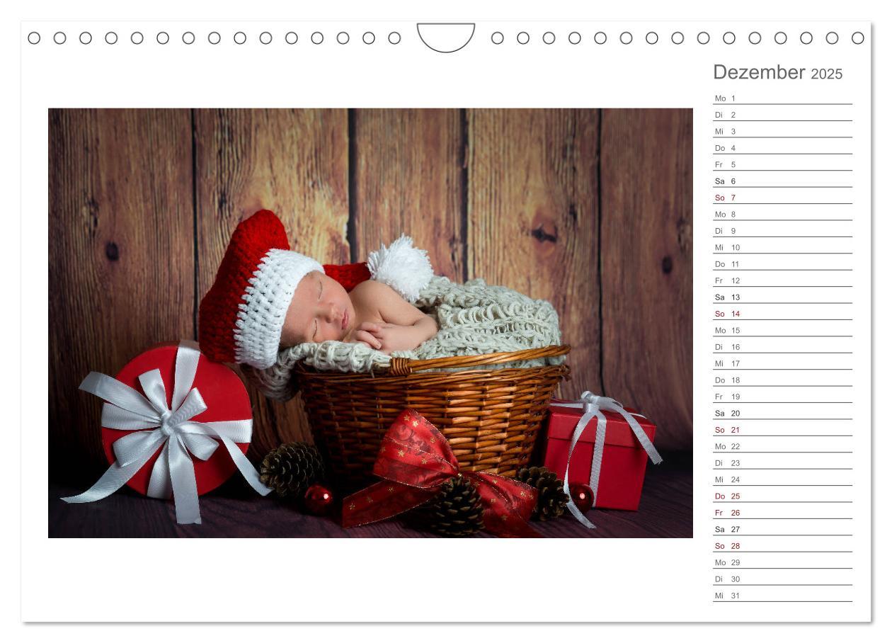 Bild: 9783435438419 | Aller Anfang ist klein - Babykalender mit Noah (Wandkalender 2025...