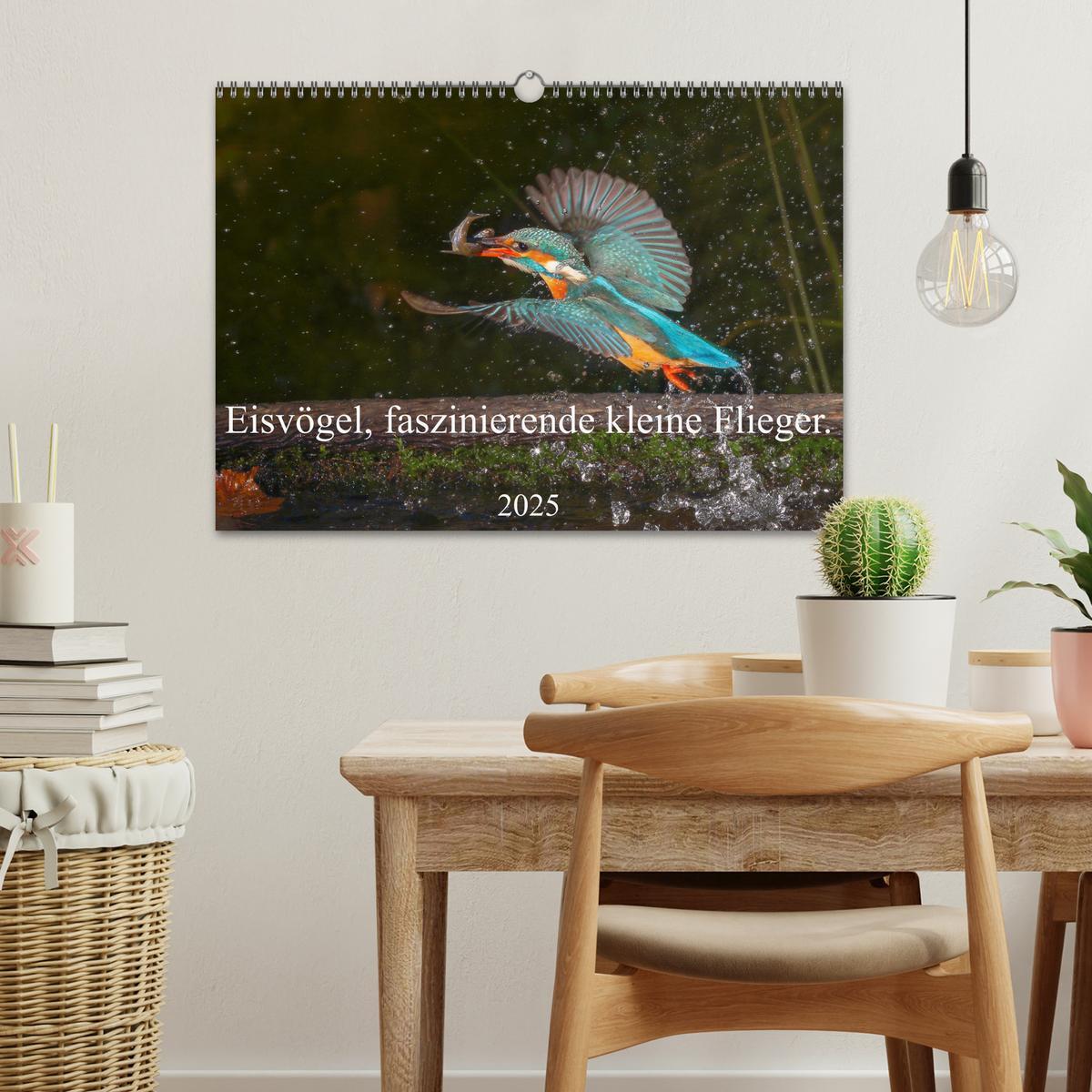 Bild: 9783435173488 | Eisvögel, faszinierende kleine Flieger. (Wandkalender 2025 DIN A3...