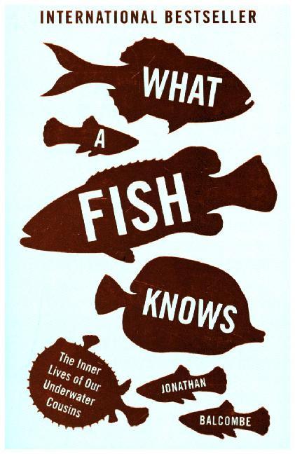 Cover: 9781786072092 | What a Fish Knows | The Inner Lives of Our Underwater Cousins | Buch