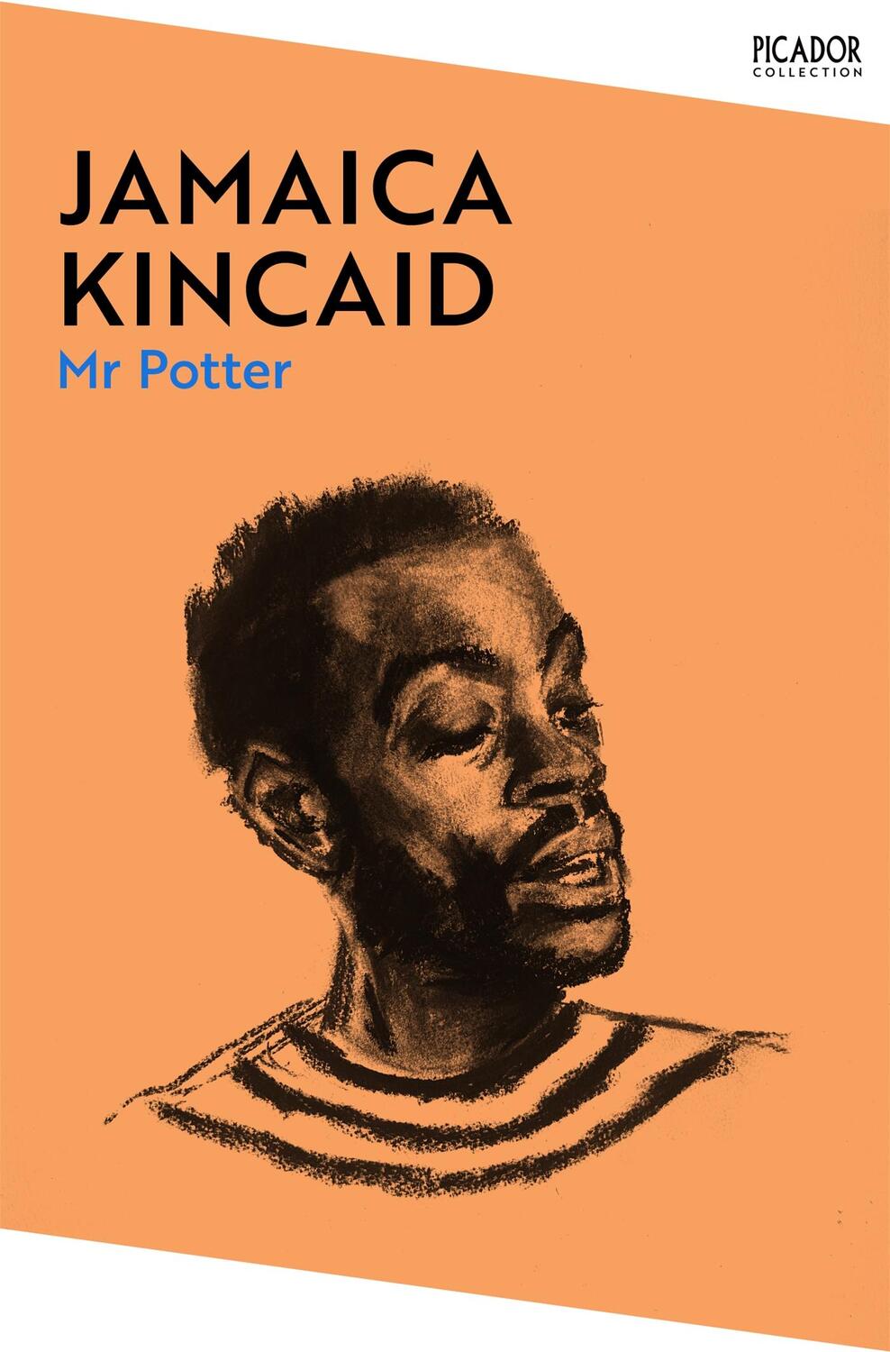 Cover: 9781529076684 | Mr Potter | Jamaica Kincaid | Taschenbuch | Englisch | 2024