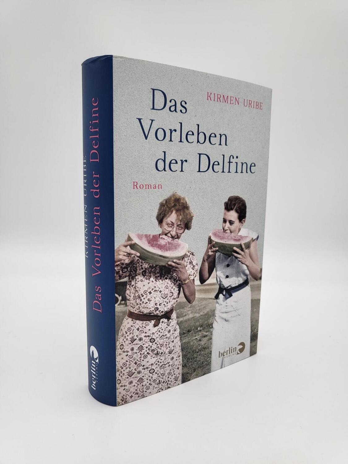 Bild: 9783827014801 | Das Vorleben der Delfine | Kirmen Uribe | Buch | 400 S. | Deutsch