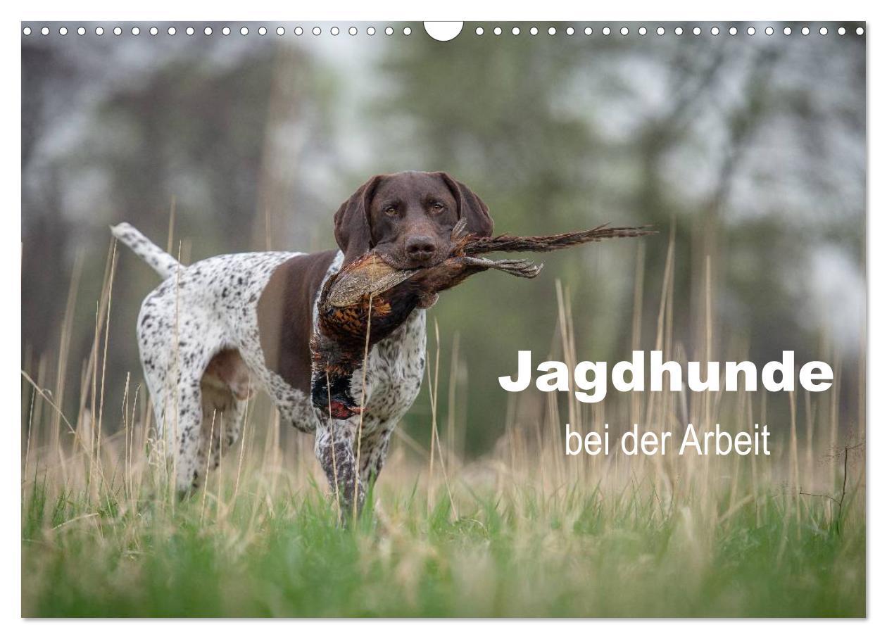 Cover: 9783435640317 | Jagdhunde bei der Arbeit (Wandkalender 2025 DIN A3 quer), CALVENDO...