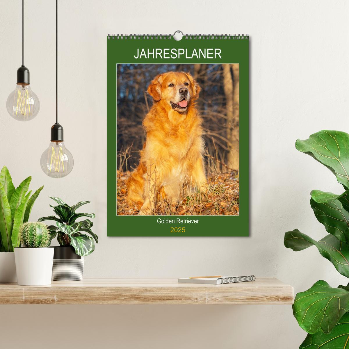 Bild: 9783435960002 | Jahresplaner Golden Retriever (Wandkalender 2025 DIN A3 hoch),...