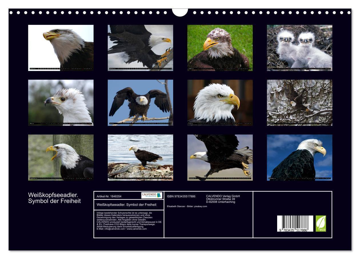 Bild: 9783435517886 | Weißkopfseeadler. Symbol der Freiheit (Wandkalender 2025 DIN A3...