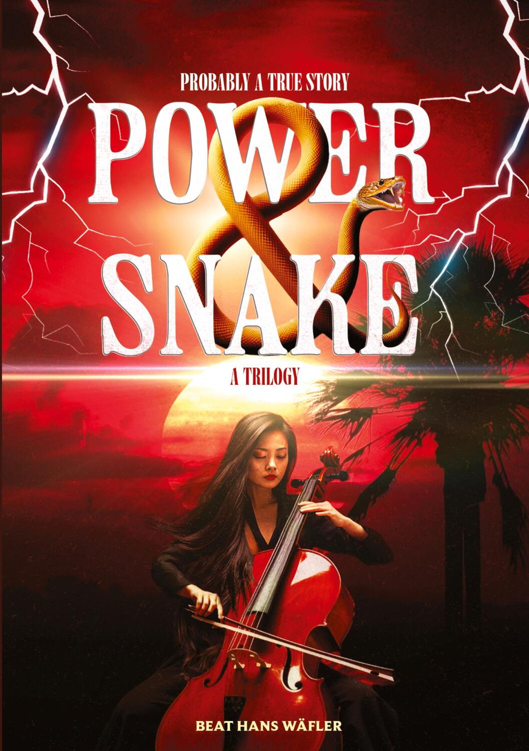 Cover: 9783384049414 | POWER ¿ SNAKE | Probably a True Story | Beat Hans Wäfler | Taschenbuch