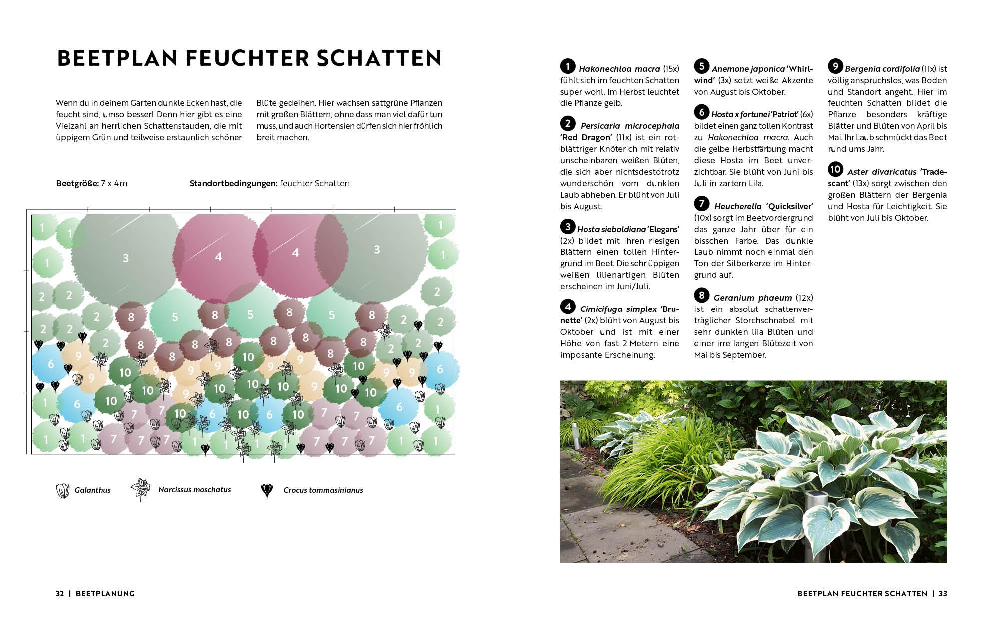 Bild: 9783745919165 | Gartenmomente: Blumen im Garten | Edition Michael Fischer | Buch