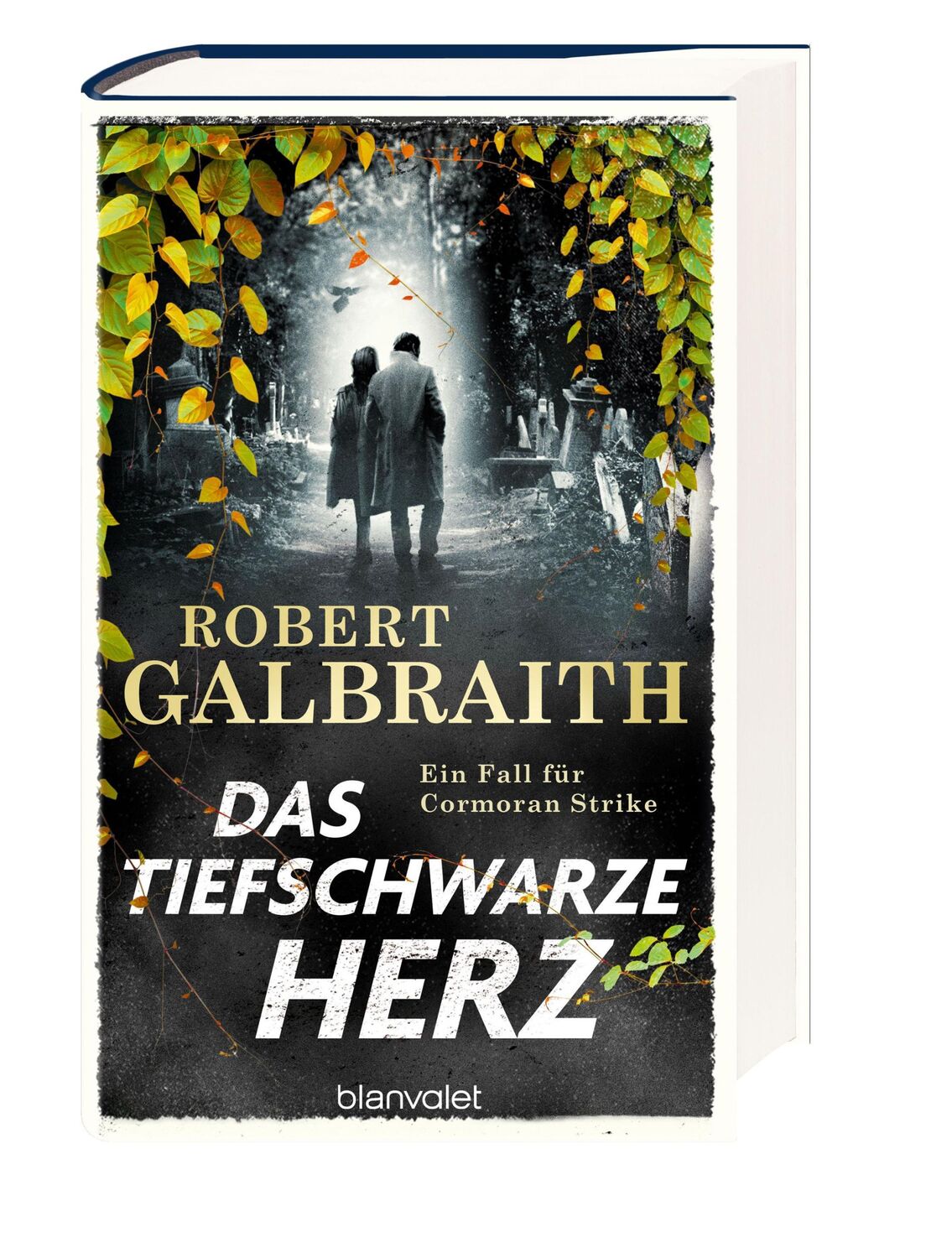 Bild: 9783764508173 | Das tiefschwarze Herz | Ein Fall für Cormoran Strike | Galbraith