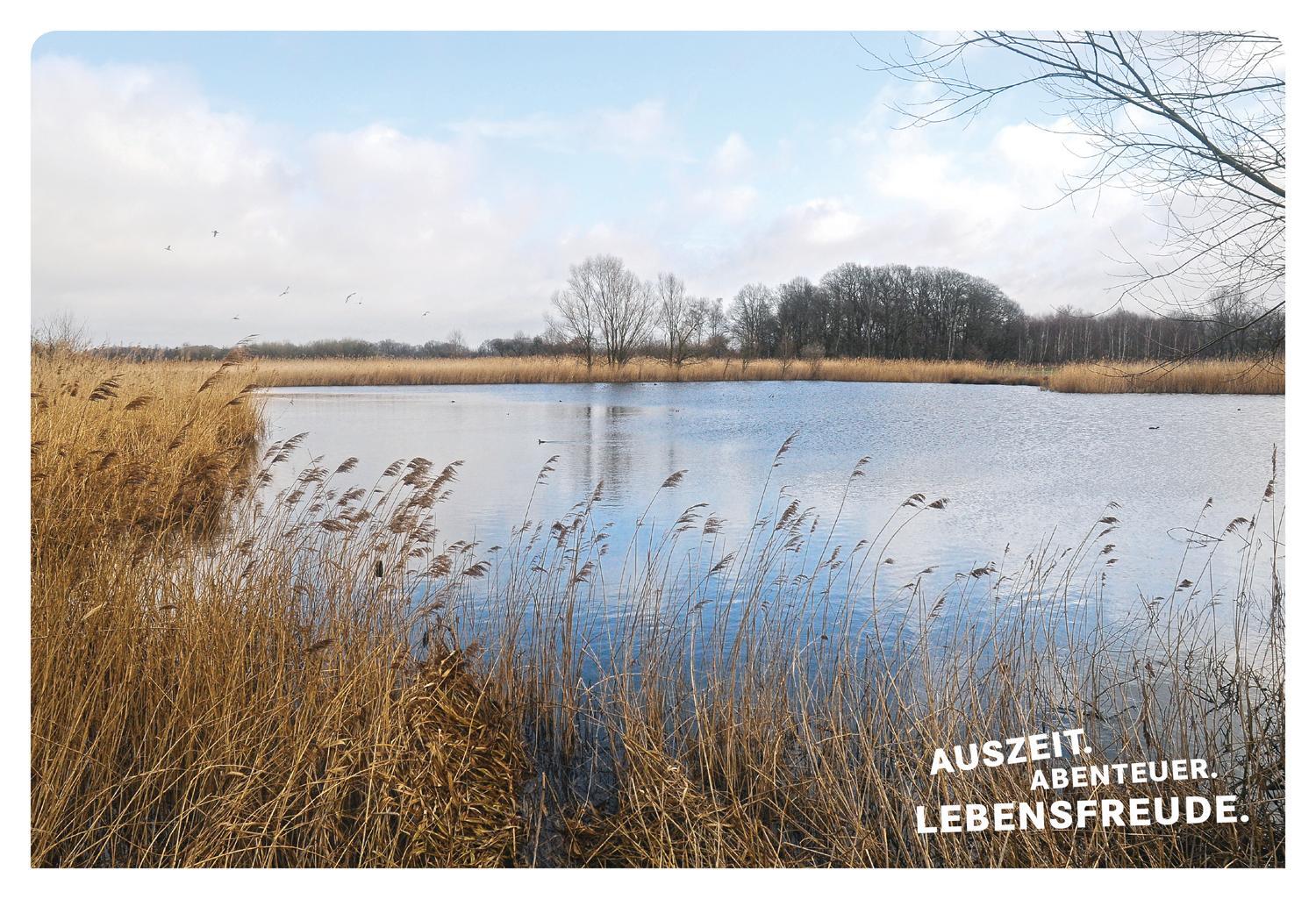 Bild: 9783616110004 | 52 kleine & große Eskapaden im Münsterland | Ab nach draußen! | Jäger