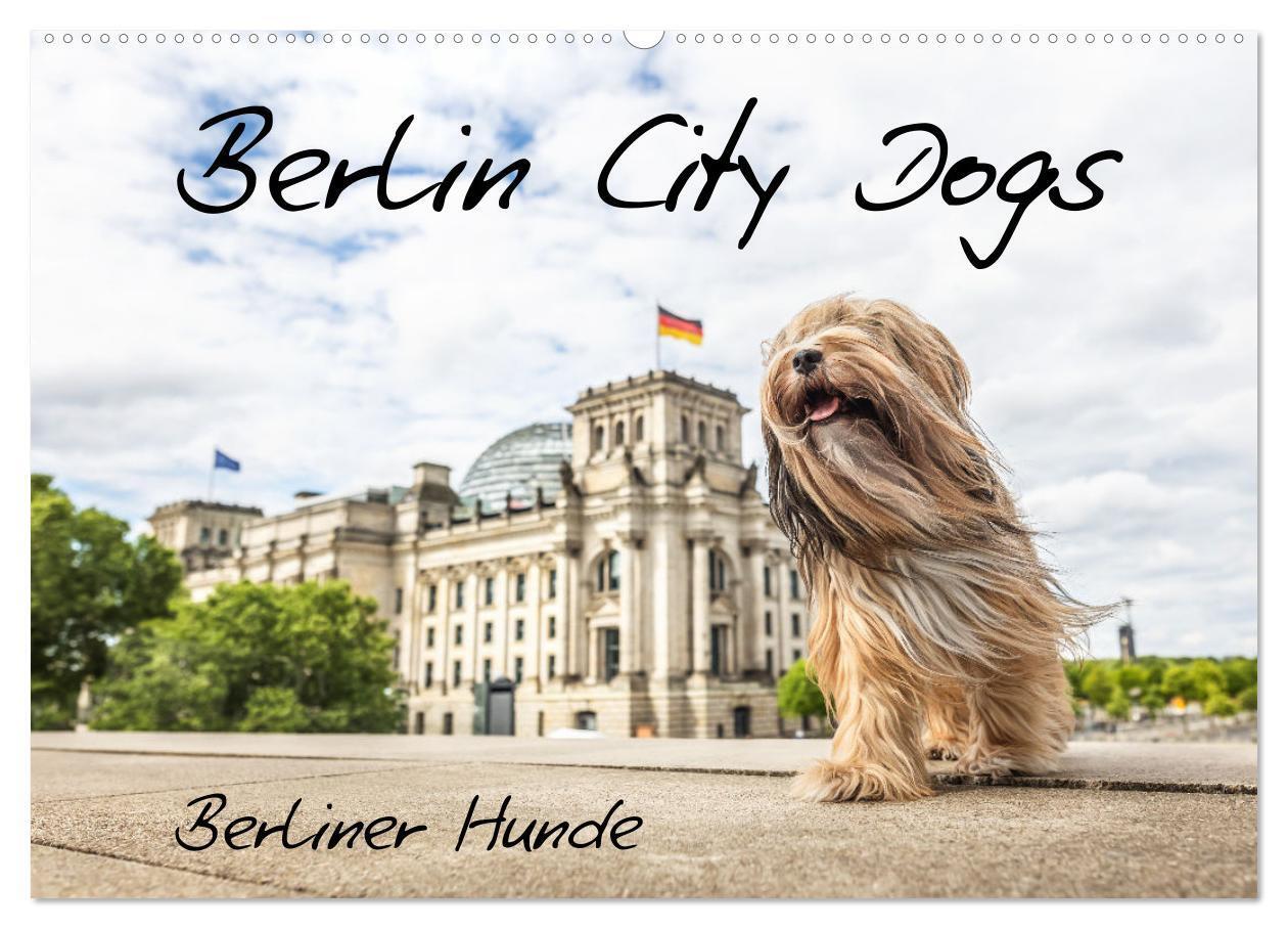 Cover: 9783457183557 | Berlin City Dogs - Berliner Hunde (Wandkalender 2025 DIN A2 quer),...