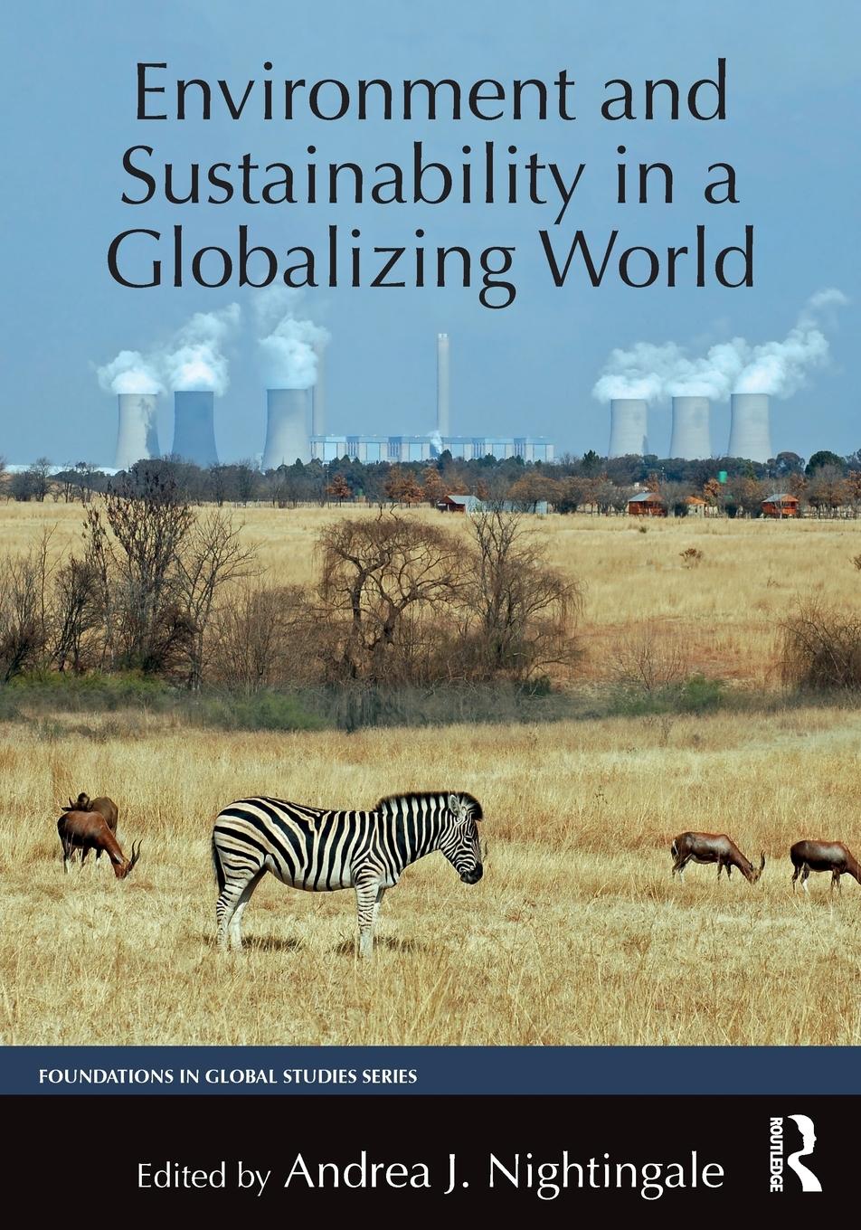 Cover: 9780765646446 | Environment and Sustainability in a Globalizing World | Nightingale