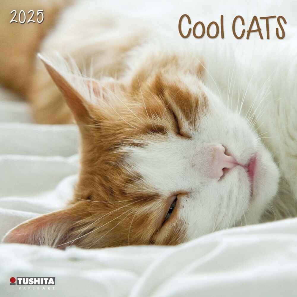 Cover: 9783959294072 | Cool Cats 2025 | Kalender 2025 | Kalender | Drahtheftung | 28 S.