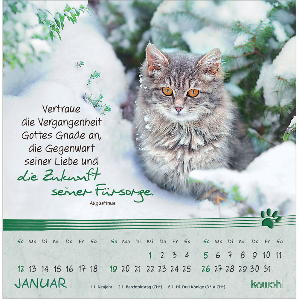 Bild: 9783754816950 | Kleine Katzen-Tatzen 2025 | Postkarten-Kalender | Kalender | 13 S.