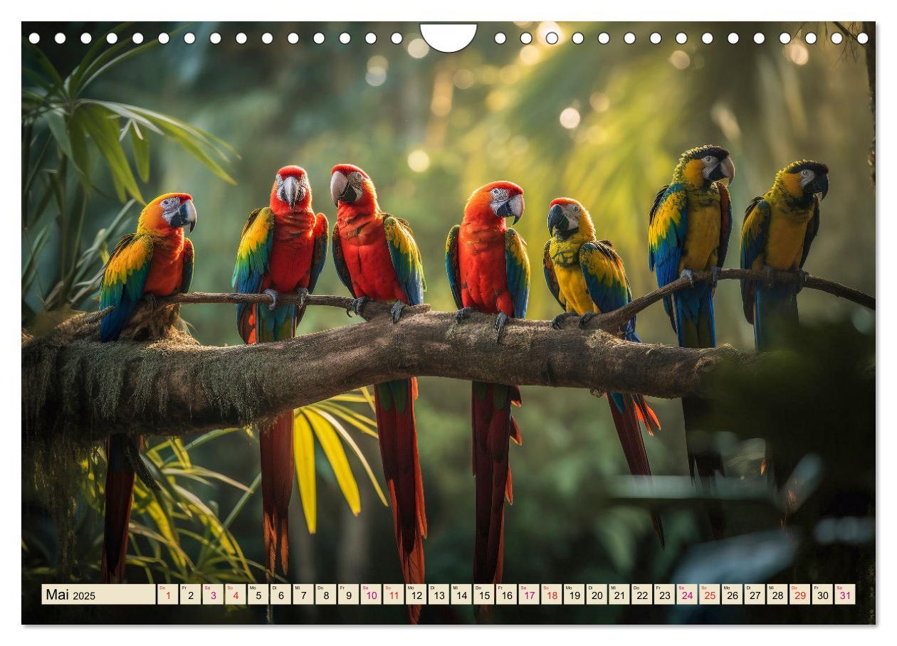 Bild: 9783383867941 | Papageien - Ara (Wandkalender 2025 DIN A4 quer), CALVENDO...